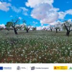 Nace el proyecto ESIL para impulsar la bioeconomía y los servicios ecosistémicos en Castilla-La Mancha